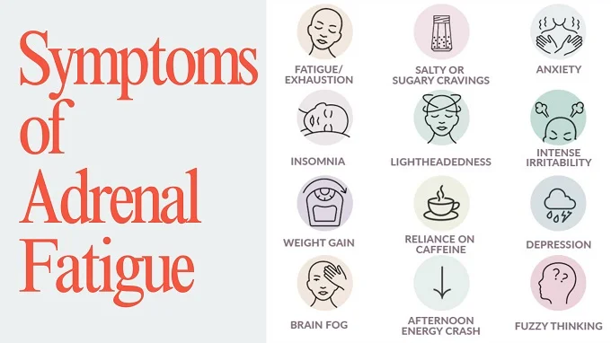 Common symptoms of adrenal fatigue including exhaustion, anxiety, cravings, and brain fog