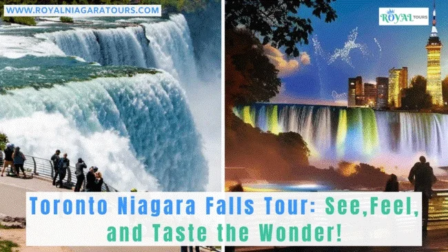 Niagara Falls day trip from Toronto with scenic views of waterfalls and colorful night lights