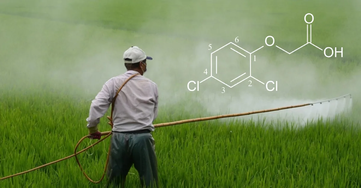 Betametacron: A Complete Guide to Understanding Its Uses, Benefits, and Impacts