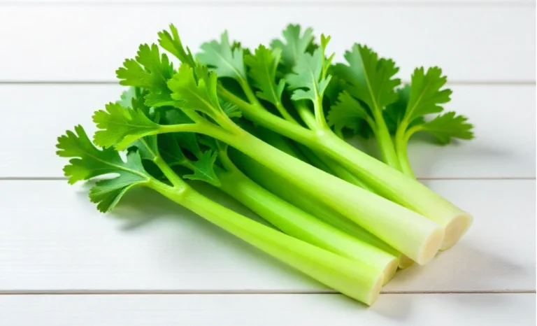 Fresh pravi celer stalks with green leaves showing authentic true celery compared to regular supermarket celery