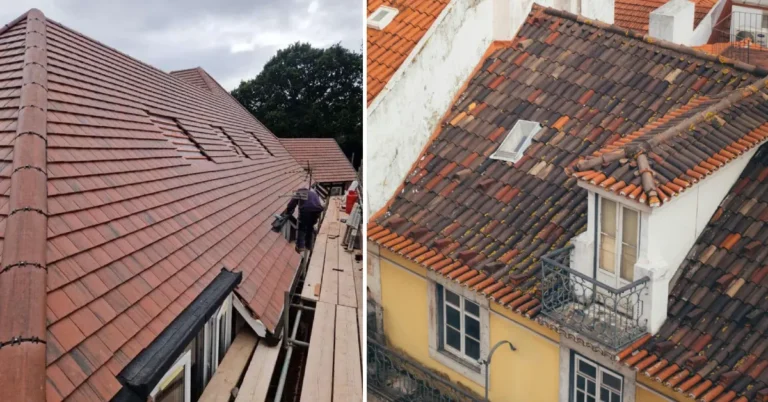 Signs Your Roof Needs Repair: A Homeowner’s Guide Image of , Home Improvement, on Next Magazine.